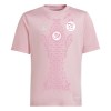 Officiële Voetbalshirt Nigeria 2024 Roze - Heren